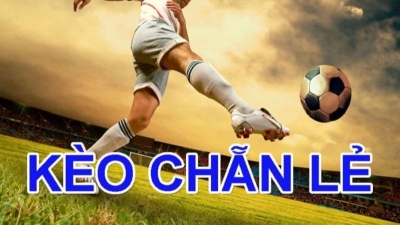 Kèo chẵn lẻ là gì? Sự rủi ro tiềm ẩn đầy thách thức